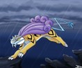 /album/fotos/raikou-jpg1/